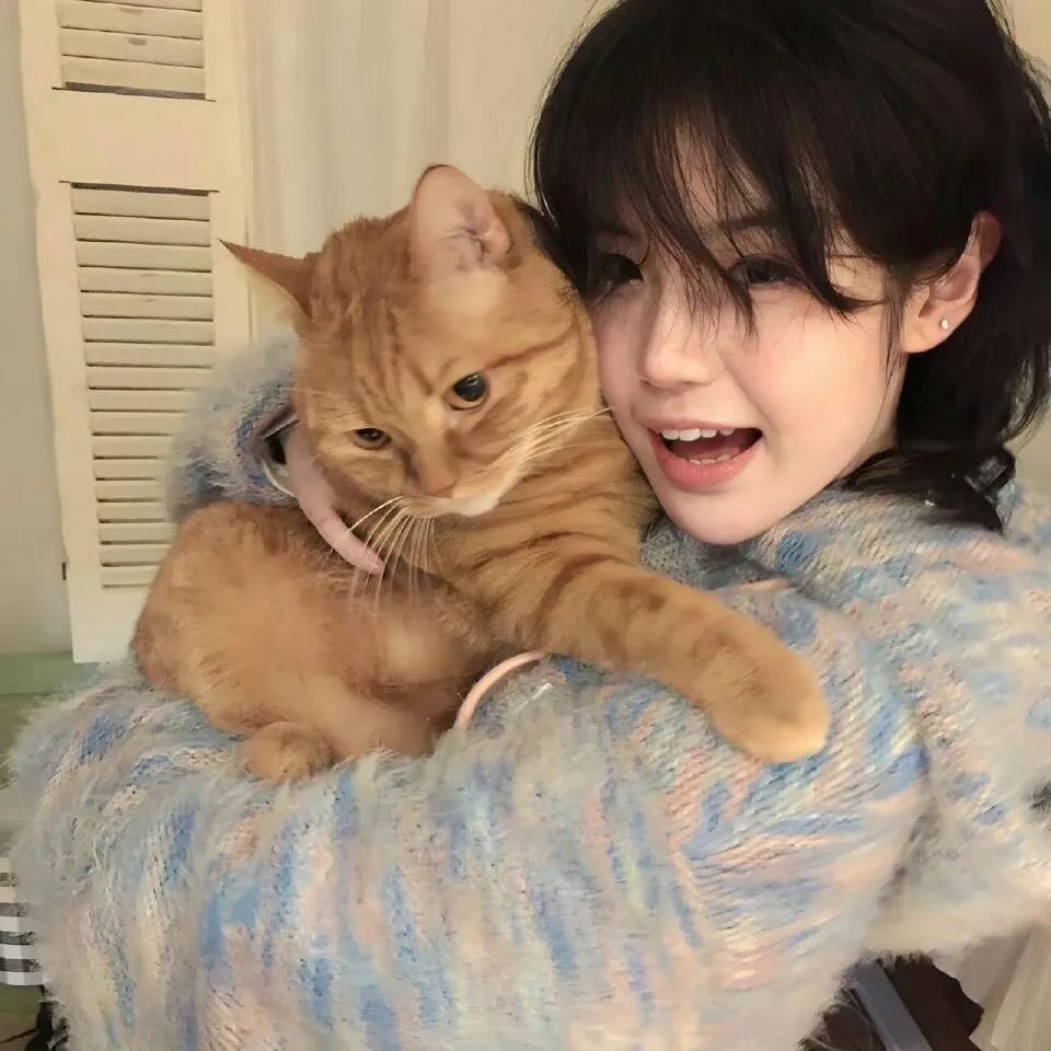 妮可·拜耳：大码怪美人